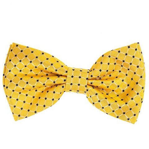 Pre-Tied Pattern Bow Tie Sets